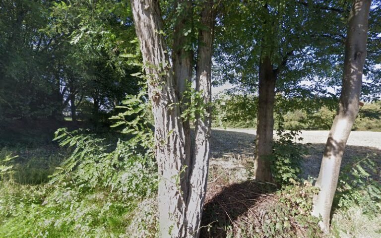 17646 66a0cc4d08a9 768x480