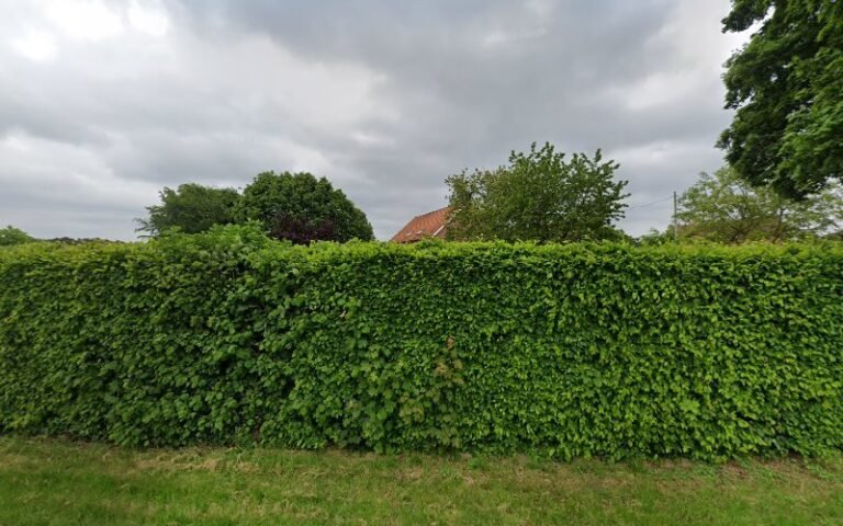 17961 1af74d4532a4 768x480