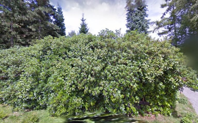 17963 f6ce431bc2e3 768x480