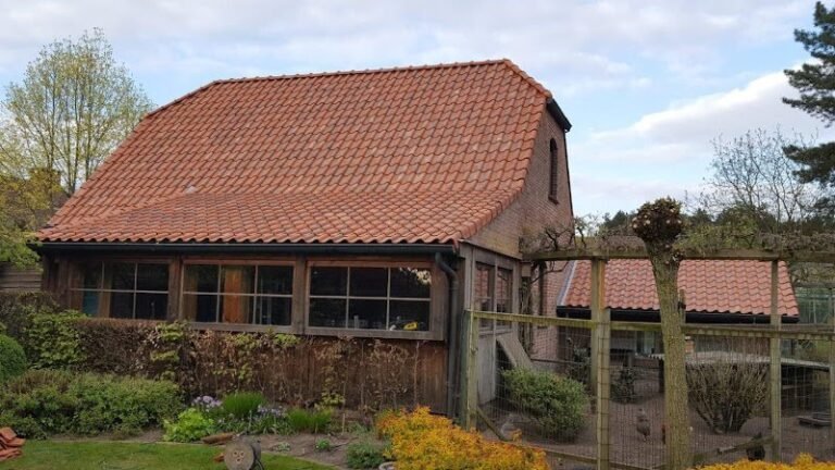 17976 44e650834dee 768x432