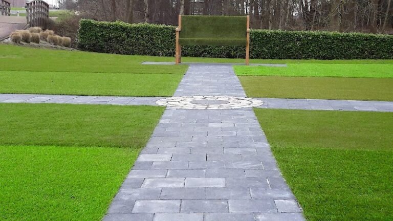 18546 0b74eba6a45b 768x432