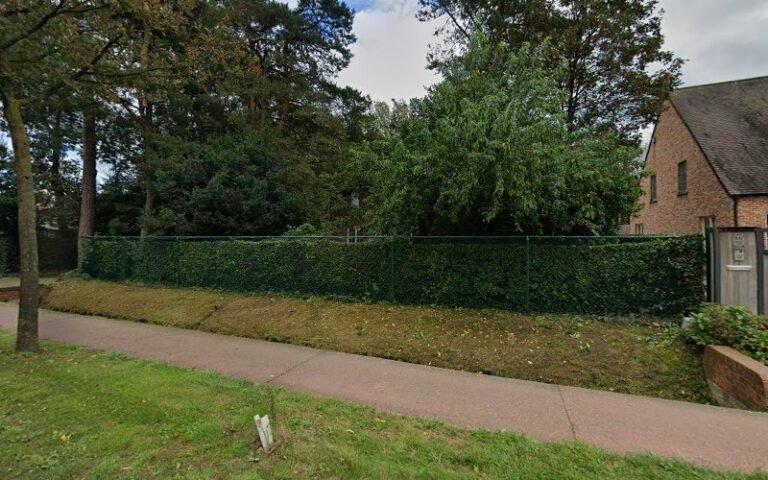 18585 bdb6d9c0e69f 768x480