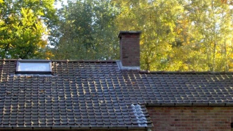 18640 4976155f8b30 768x432