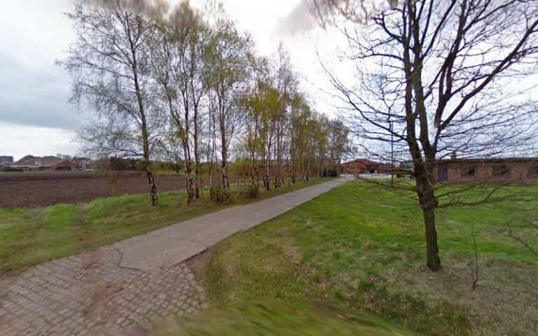 18680 ba73327372e7 768x480