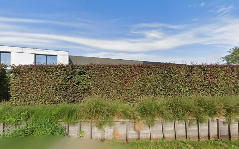 18912 1f1965726c96 768x480