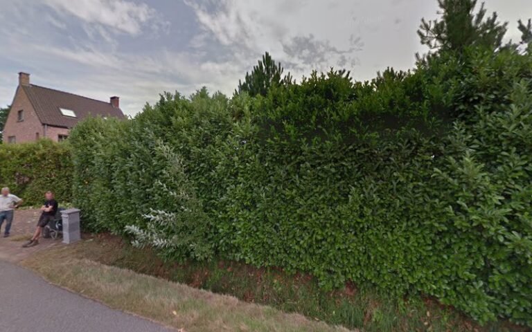 19201 a8a8abdcd554 768x480