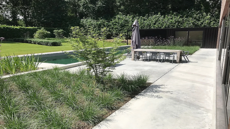 19275 c1ef04d3b44e 768x432