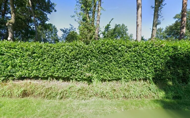 19419 7e2729e7bff5 768x480