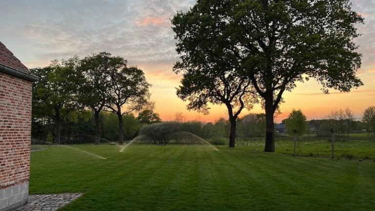 19451 f2d79581e459 768x432