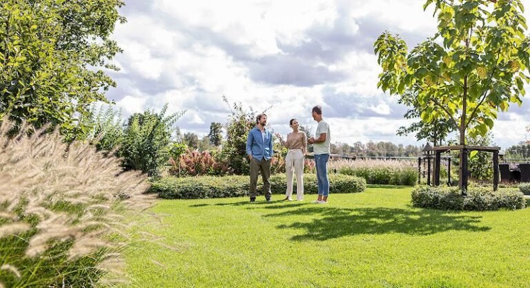 19547 1e756e5d52a6 768x417