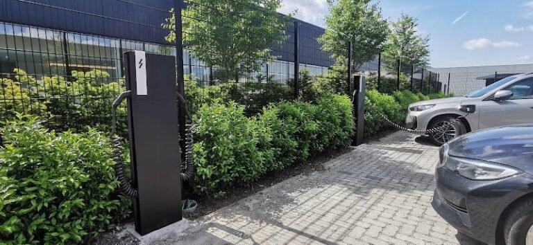 19646 979b2cc482b6 768x354