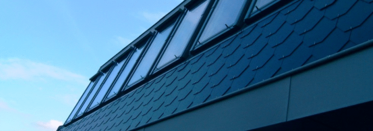 19736 4865a0a250b1 768x270