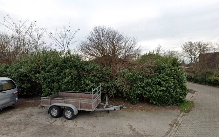 19756 2db2fff4534a 768x480