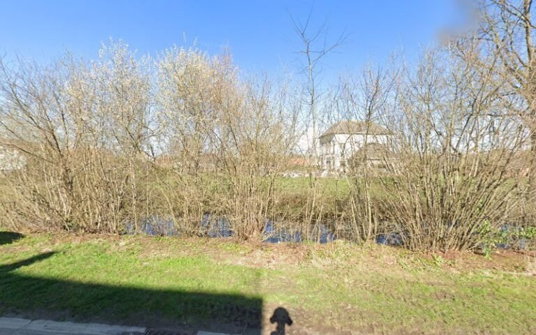 19780 f5c6503580d1 768x480