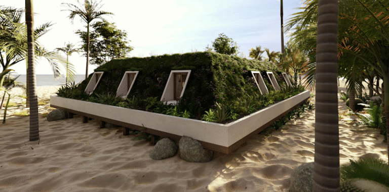 19836 309d97961a58 768x380