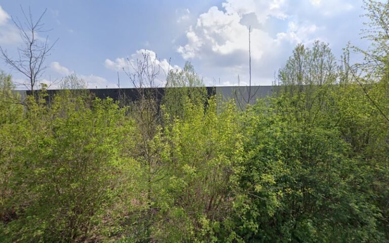 19922 fd8665038513 768x480