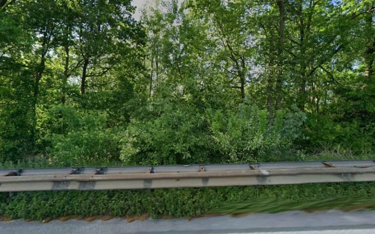 19928 767584954ead 768x480