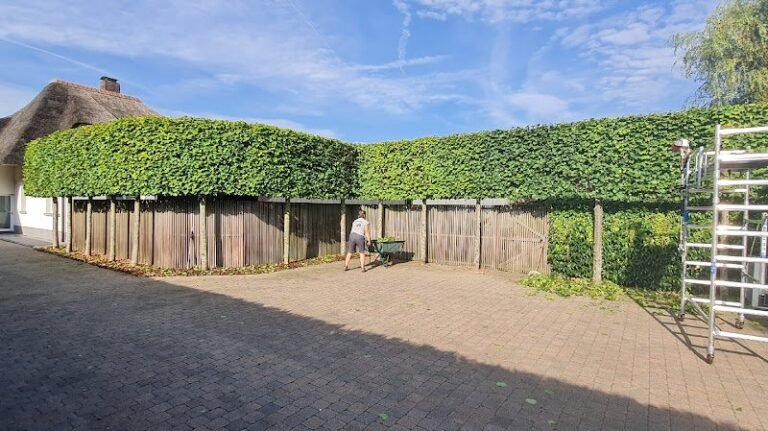 20058 fe4bee239aa0 768x431