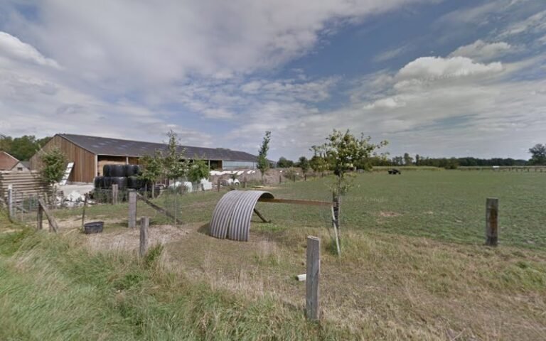 20148 8929d753a52b 768x480