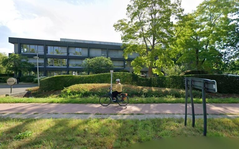 20504 d0520cc9c08f 768x480