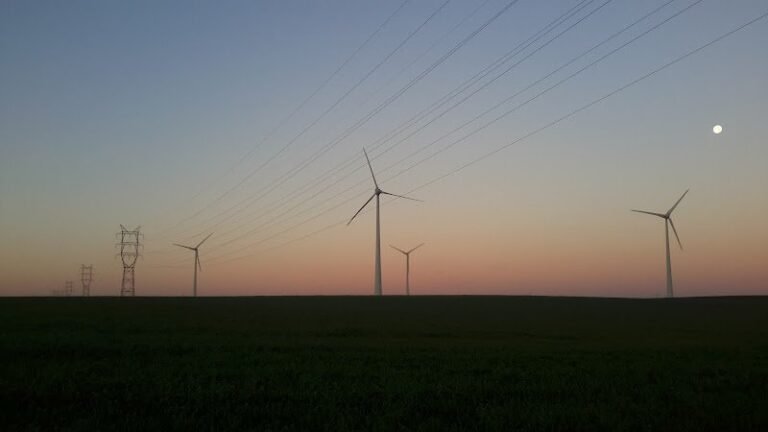 20699 ed2bd7f5d6e1 768x432