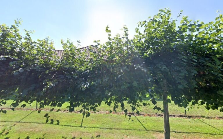 20815 93733f6d0dc9 768x480