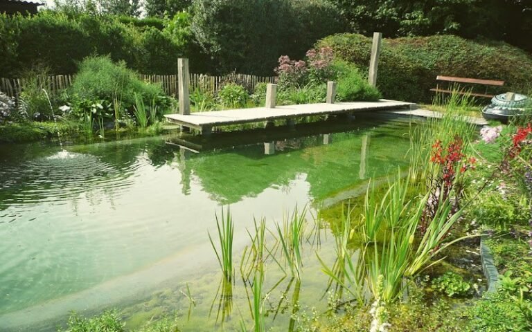 20861 6f0855e2c411 768x480