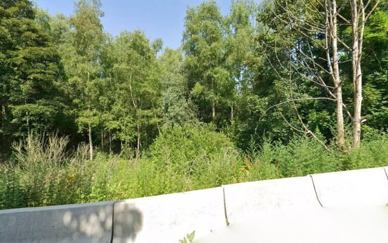 20865 341212175072 768x480