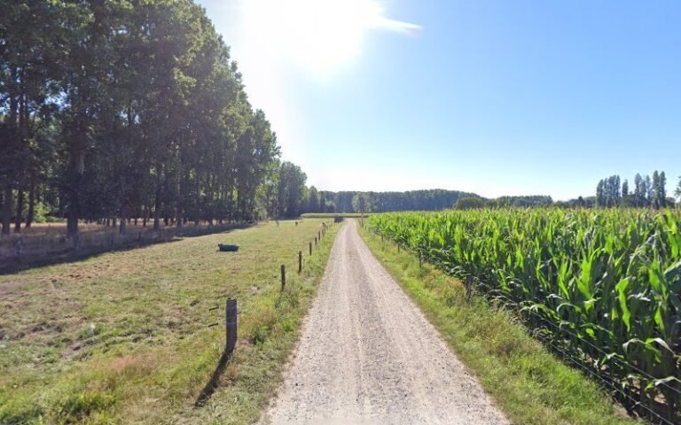 21209 077d90ac67aa 768x480