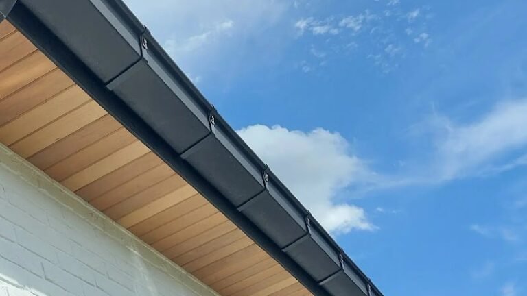 21766 30149649d567 768x432