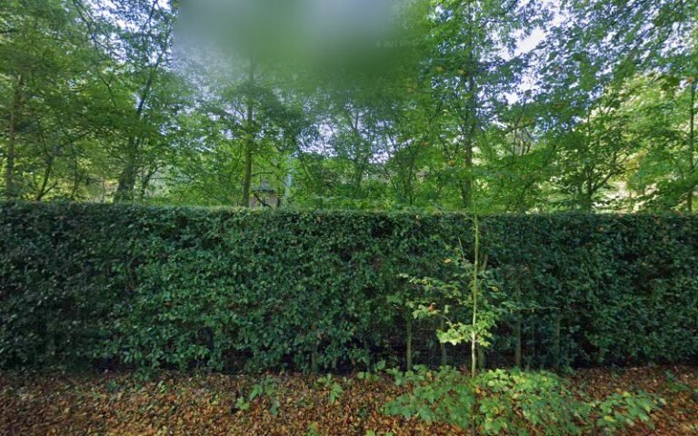 22047 57892dd66d5e 768x480