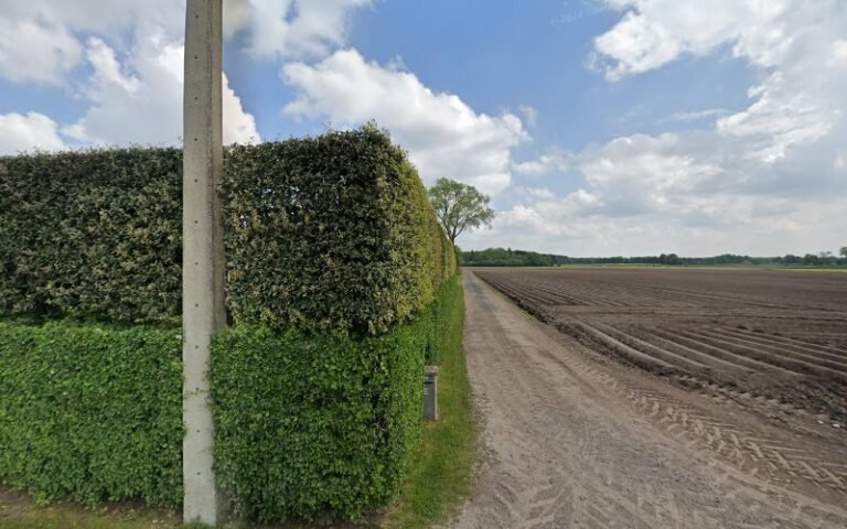 22105 35f5514e5d6e 768x480