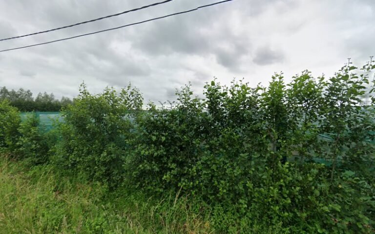 22529 242aeb68c537 768x480