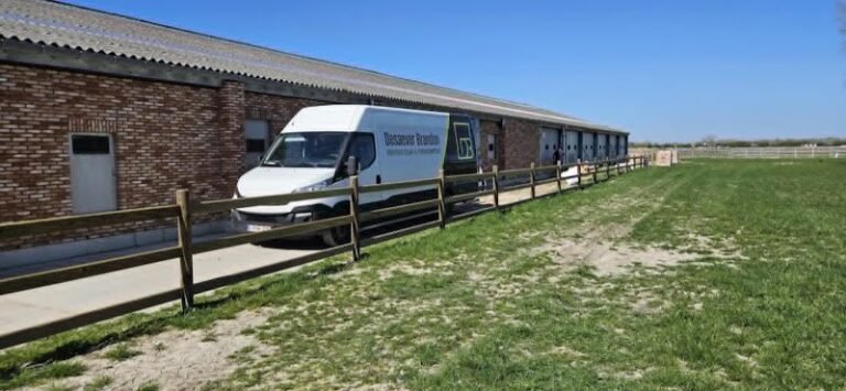 22895 713504735176 768x355