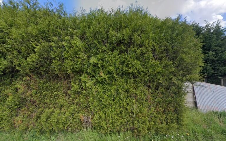 22971 237479af3f1a 768x480