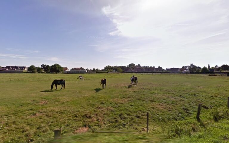 22995 154fecf93ea0 768x480