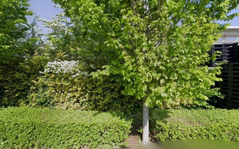 23036 1a3b640b2fef 768x480