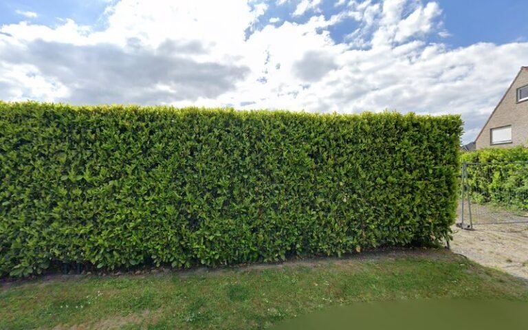 23050 5015c937e27d 768x480