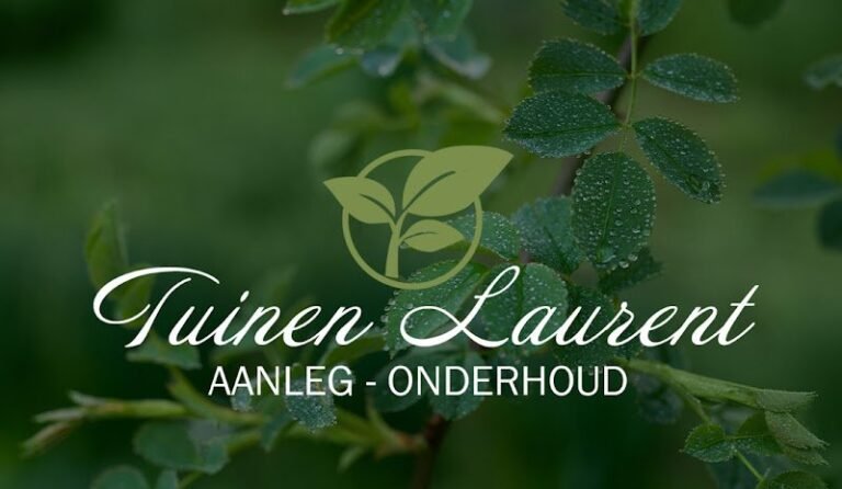 23385 38b6cc87c80e 768x446