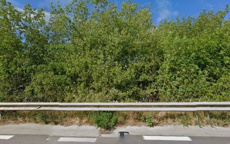 23838 b3fb8c736c74 768x480