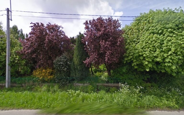 24054 7c2b532710af 768x480