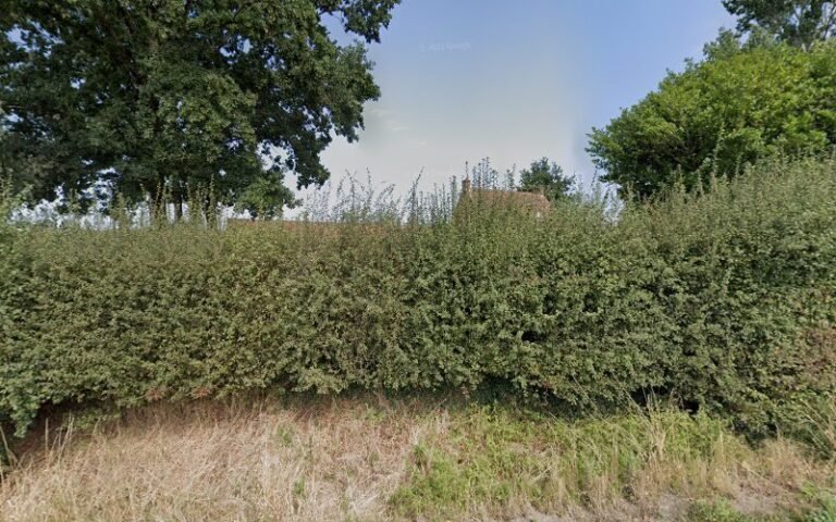 24222 955503e81c3b 768x480