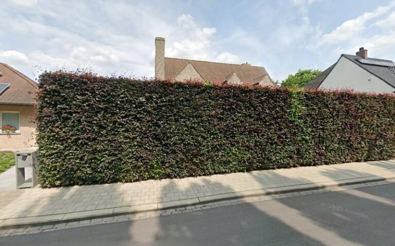 24366 2044f703435c 768x480