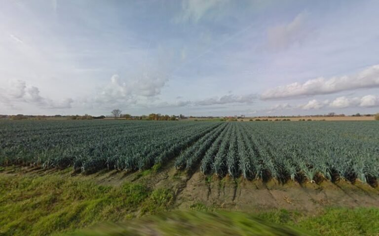 24464 2871b8824266 768x480