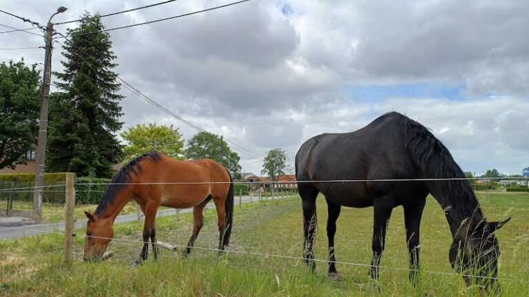 24638 3b2b649765f8 768x432