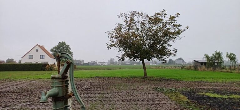 24656 7135d97d382e 768x354