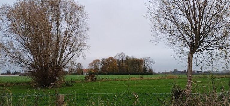 24683 8e308980351a 768x354