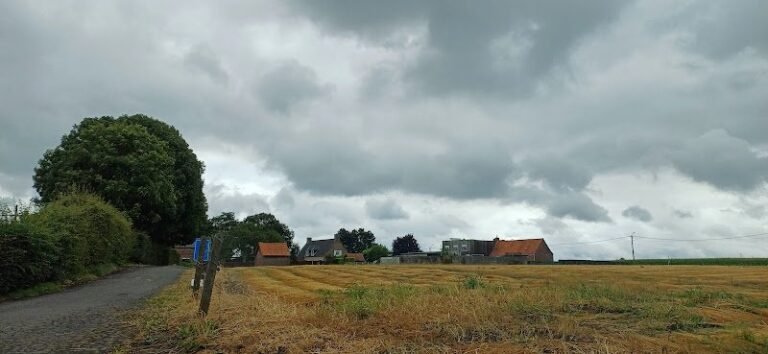 24687 e64fd7316068 768x354