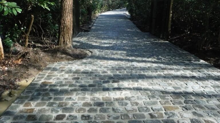 24847 96ef61895bdb 768x432