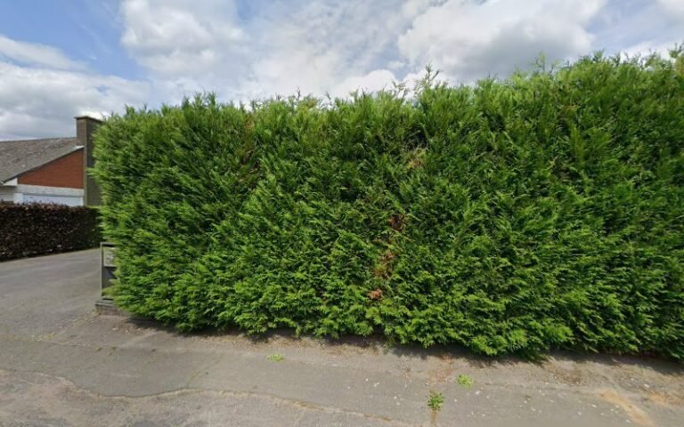 24875 14121f538b1c 768x480